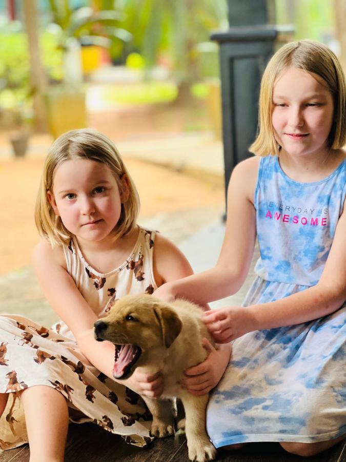 Lal Home Stay Szigirija Kültér fotó